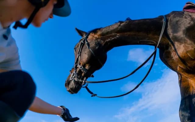 2025 July Cup: Ten-Year Trends & Betting Tips