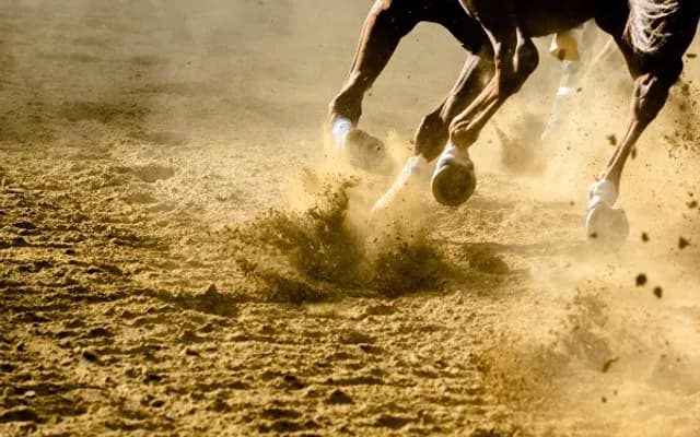 2025 St James’s Palace Stakes: Ten-Year Trends and Betting Tips