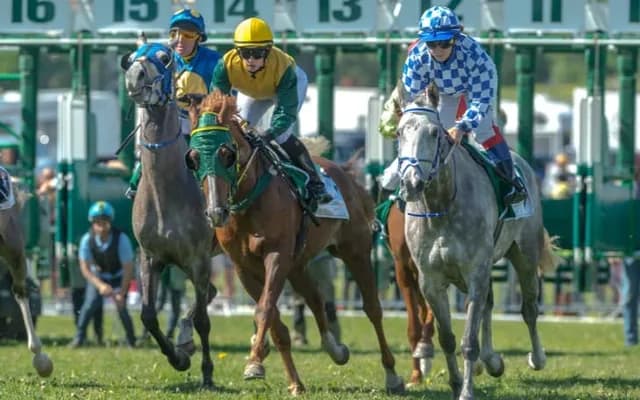 Picking Winners: A Guide to Successful Grand Slam Bets in Horse Racing