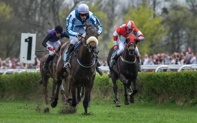 Adaptive Betting: Reacting to Events During Horse Races