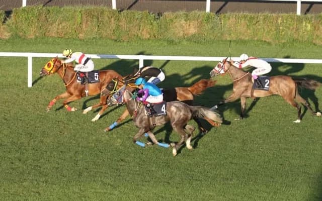 Aintree's Challenge: Unveiling the Racecourse Features