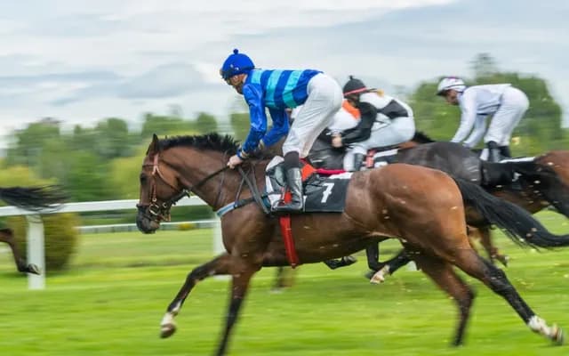 Amateur's Arena: The Dynamics of Amateur Riders’ Handicap