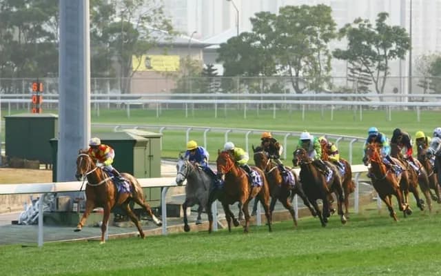 Analyzing Cheltenham Trends