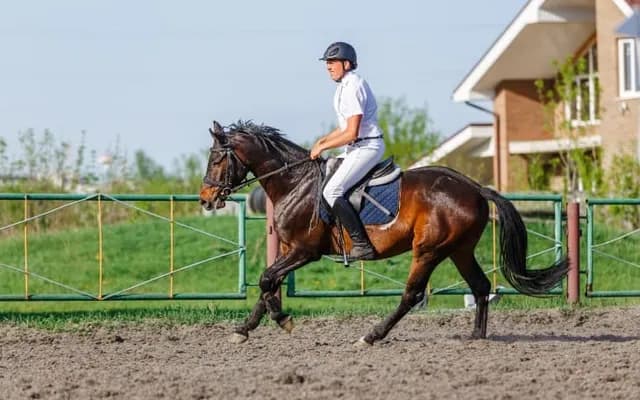 Ascot Chase Betting Preview: Defending Champ the Pic of Six Runner Field