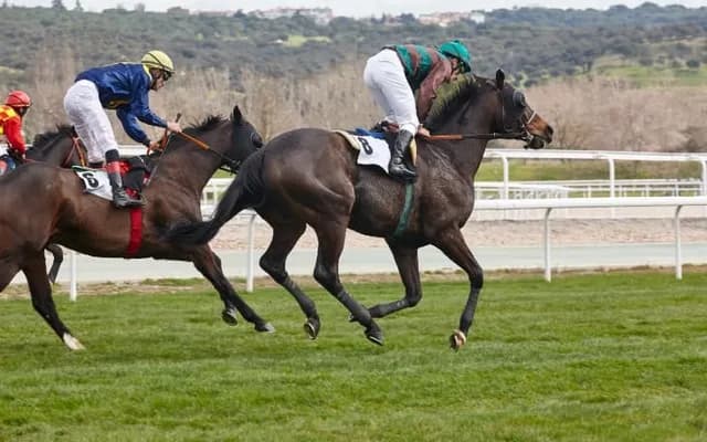 Betfair Chase Preview: Ahoy a Great Shout for Success