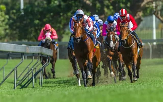 An Analysis of Betting Trends in UK Horse Racing