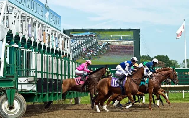 What is a Bumper in Horse Racing?