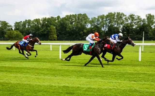 What Does CD Mean in Horse Racing?