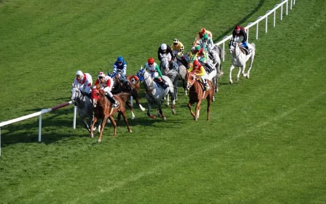 Cheltenham Festival 2024 - Full Results