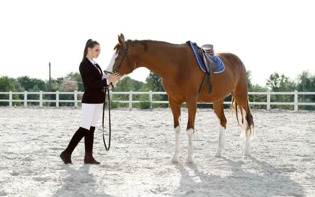 What Is a Dirty Scope in Horse Racing?