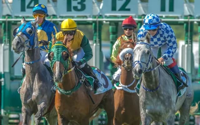 Do Horses Enjoy Racing?