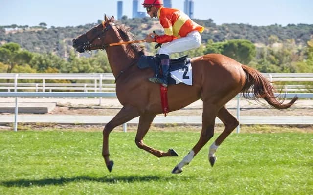 Dublin Racing Festival: Day 2 Each Way Options