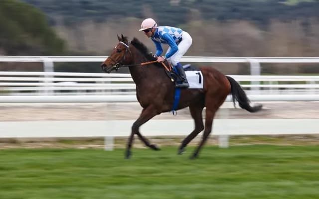 Ebor Festival 2024: Leading Lights on the Knavesmire