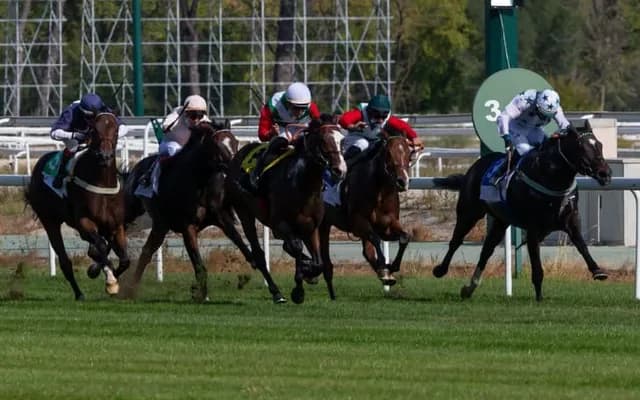 Evaluating Horse Performance: Grass vs. Synthetic Surfaces