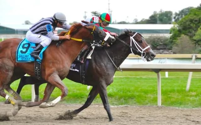 Legends of the Field: Famous Grand National Horses
