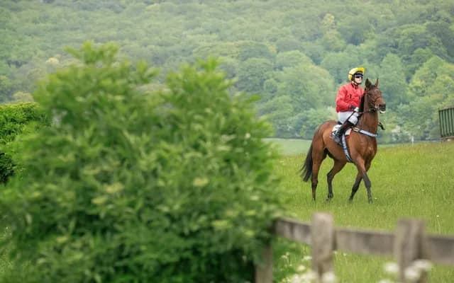Festival Trials Day Lucky 15: Best Bets from Cheltenham