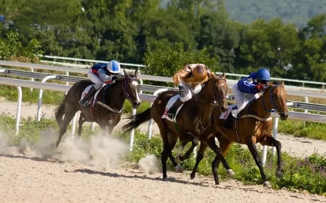 Flat Racing Dynamics: Understanding the Speed and Tactics Involved
