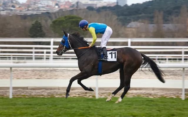 Friday Racing Selections: Best Bets for the TV Action