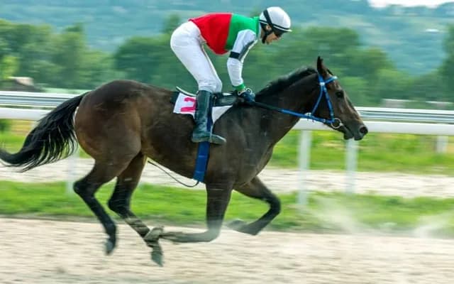 Goliath Bet: The Grand National Challenge