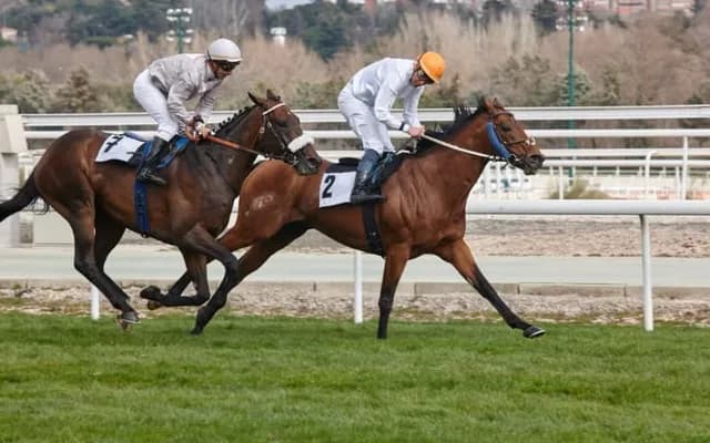 Fashion at the Finish Line: Grand National Style