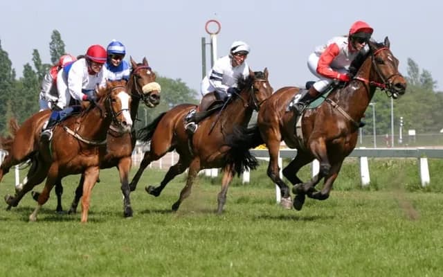 Legacy of the Track: Handicapping in Legacy Handicap Races 