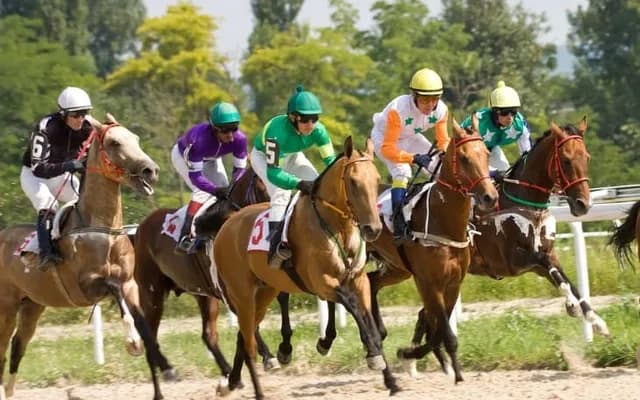 Breeding for Speed: The Science Behind Racing Horses