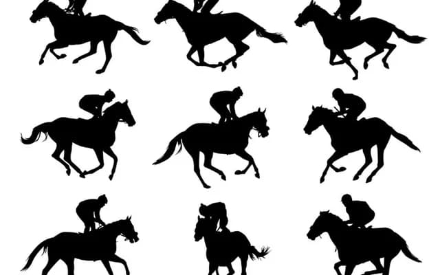 Exploring the Different Types of Horse Races