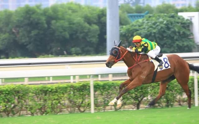 Insider's Guide to Horse Racing at the Olympics