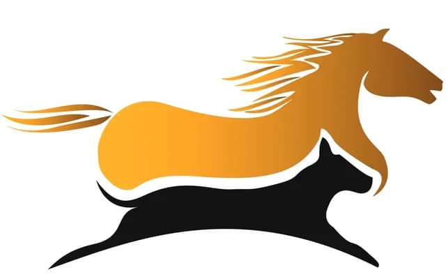 Horse Racing Vs. Dog Racing: Key Differences