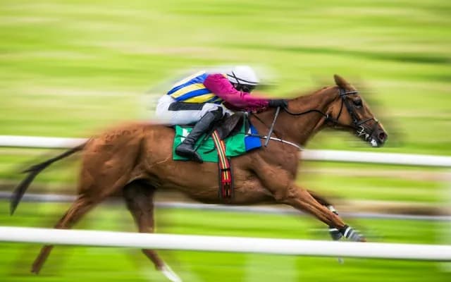 How Fast is a Racing Horse?