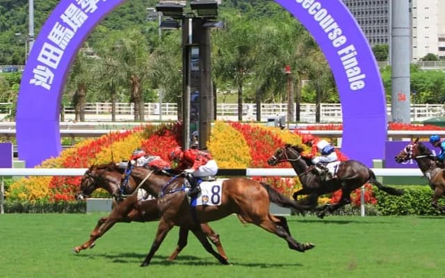 Irish Racecourses Guides