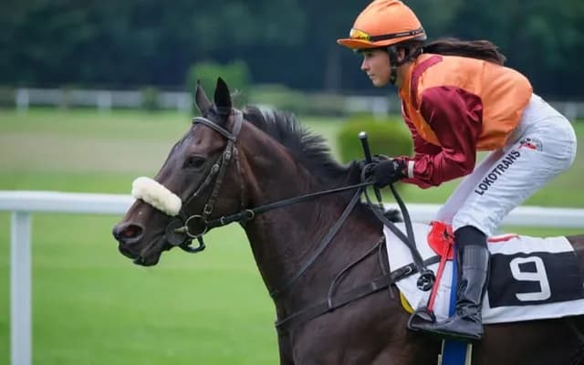 Ladies Day at Cheltenham