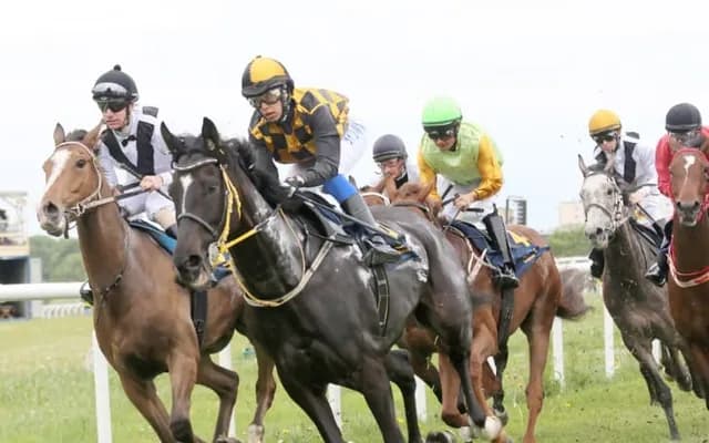 Beginner's Guide to Lay Betting in Horse Racing