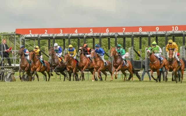 How Far is a Length in Horse Racing?
