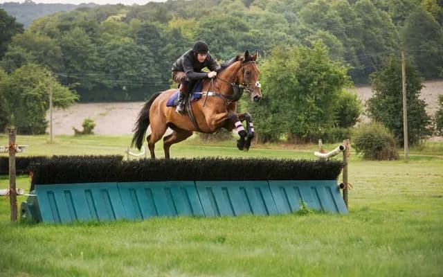 Long Distance Hurdle Preview: Crambo the Class Act for O’Brien