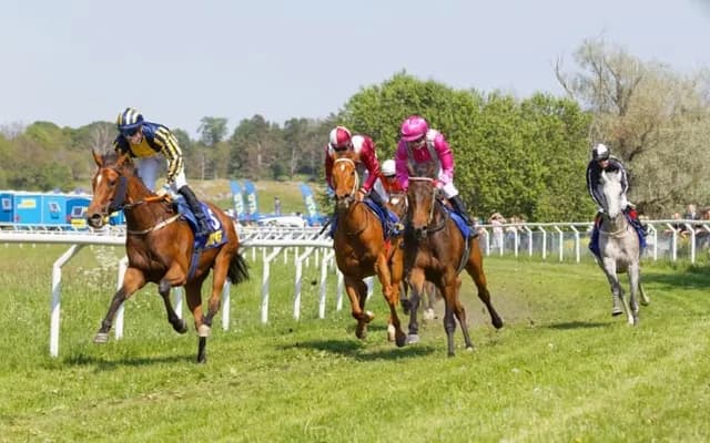 Momentum Betting: Capitalizing on In-Race Dynamics