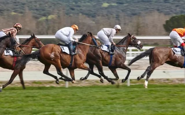 O’Brien’s Perfect Ten: Ballydoyle Derby Heroes