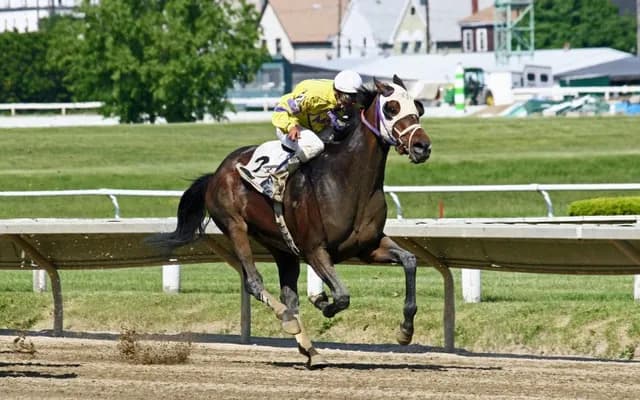 What Does Off the Bridle Mean in Horse Racing?