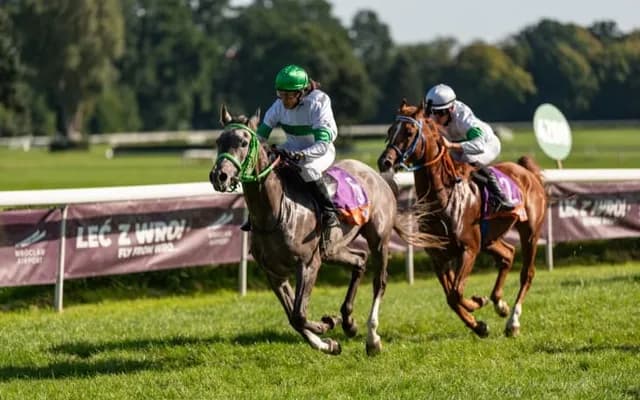 Omniswinger: The Versatile Bet in the World of Horse Racing