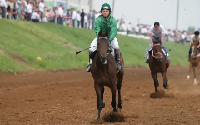 Open to All: The Diversity of Open Handicap Races 