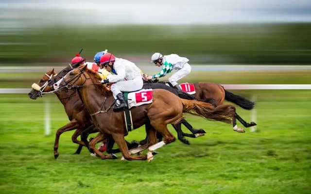 An Insider’s View of the Paddock in Horse Racing