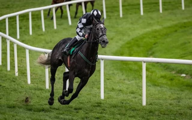 Guide to Picking a Winning Horse