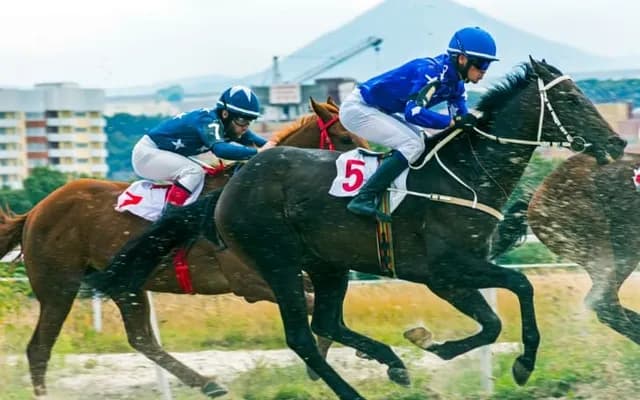 The Placepot Phenomenon: Mastering Multi-Race Horse Betting