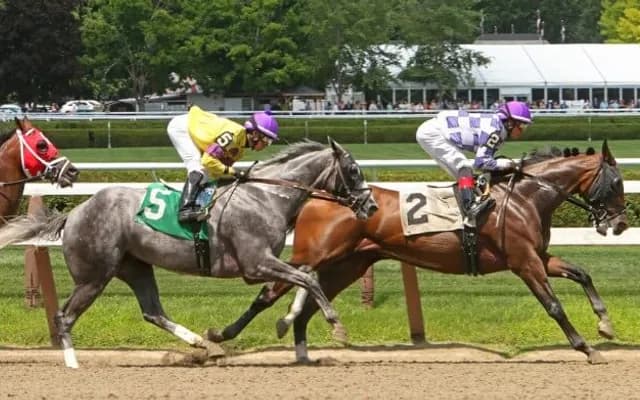 The Importance of Posture in Horse Racing