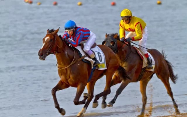 Preview of The 2024 Derby