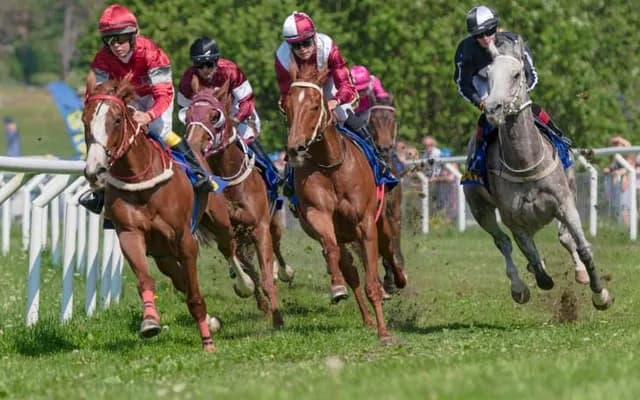 Racing Legends: A Deep Dive into the Debate for the Best Horse of All Time