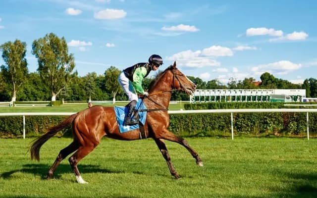 Reading the Market: Sentiment Analysis for In-Play Betting