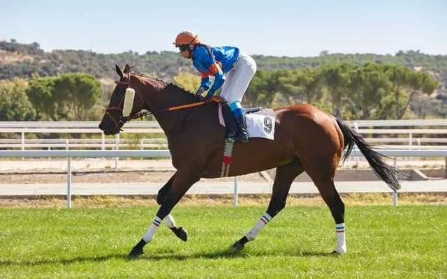 Rockfel Stakes 2024 Preview