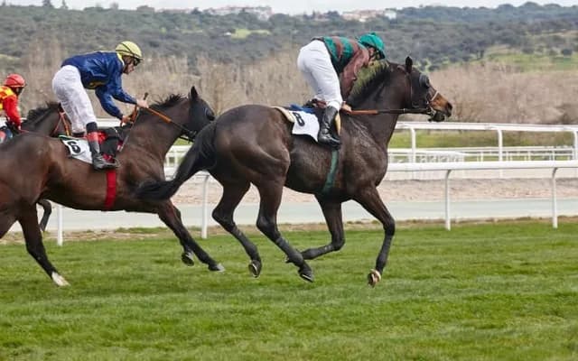 Royal Ascot 2024 Review