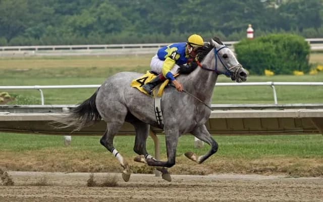 Royal Ascot 2024 – Pomp, Pageantry, And Racing Excellence